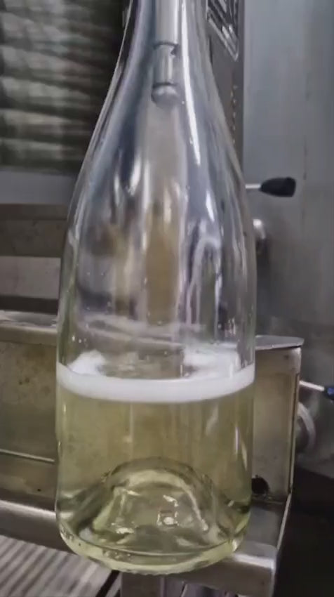Ruiz Jiménez, Ingenium Pet-Nat Garnacha blanca 2023
