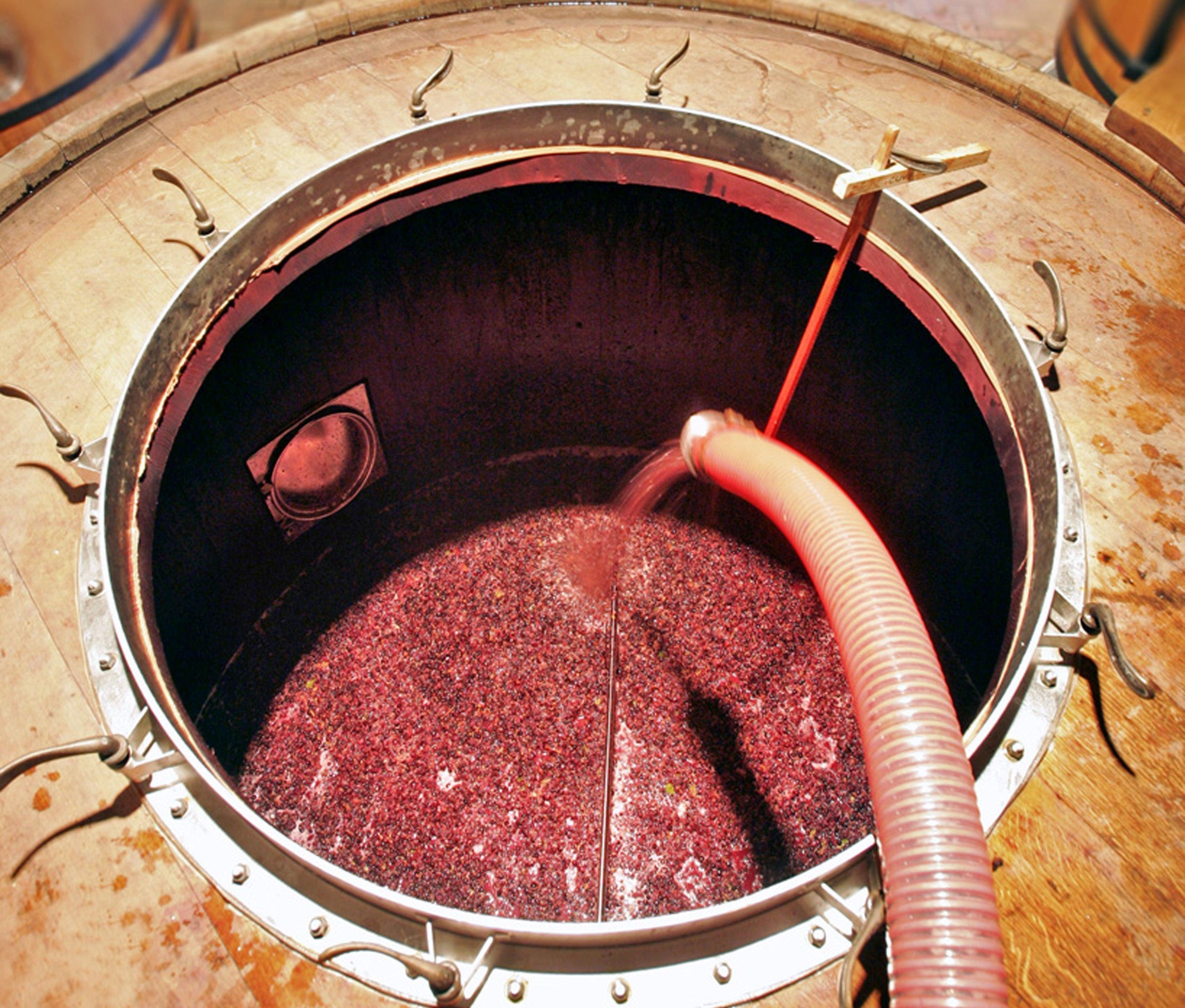 View from above of a wine barrel with red grape juice being pumped over through a corrugated hose