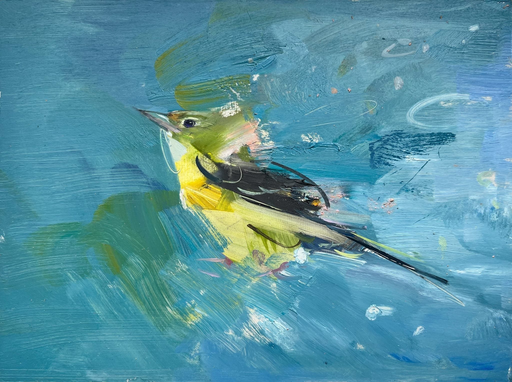 New Irish Art 2026 - Lavit Gallery