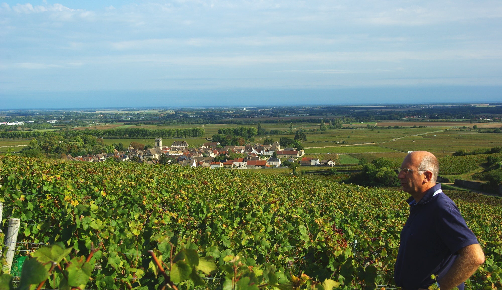 A view over vines to a village, with the winemaker standing to the right in the foreground.