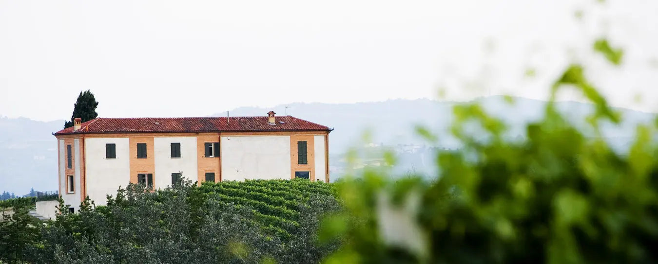 Two-storey building on a hill planted with vines.