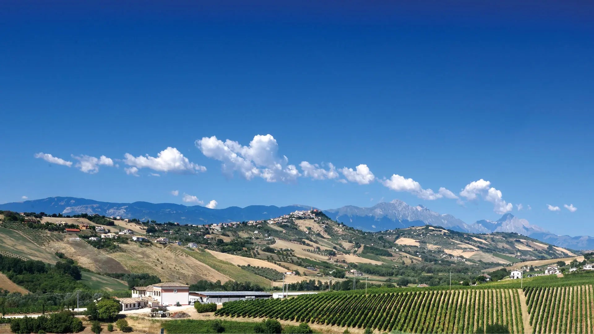 Blue skies and a few clouds above hillside vineyards with a mountain range in the distance.
