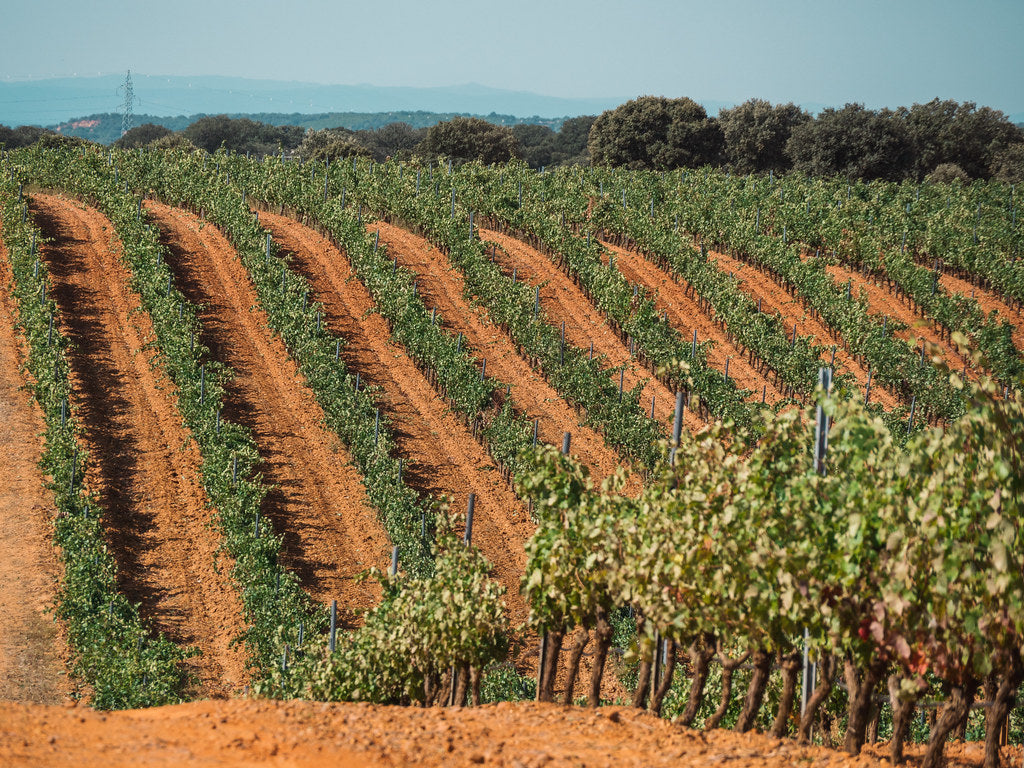 Bodegas Otero