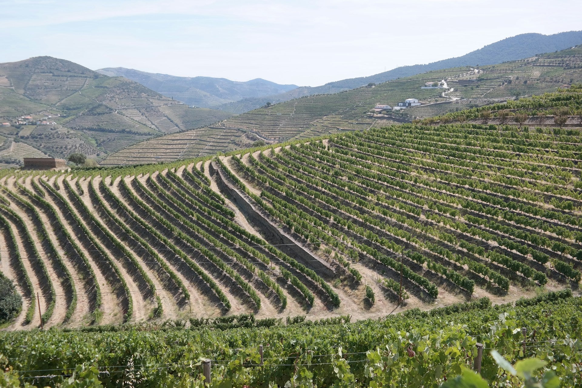 Photo by Christophe Hautier on unsplash.com. a-vineyard-in-the-middle-of-a-mountain-range       