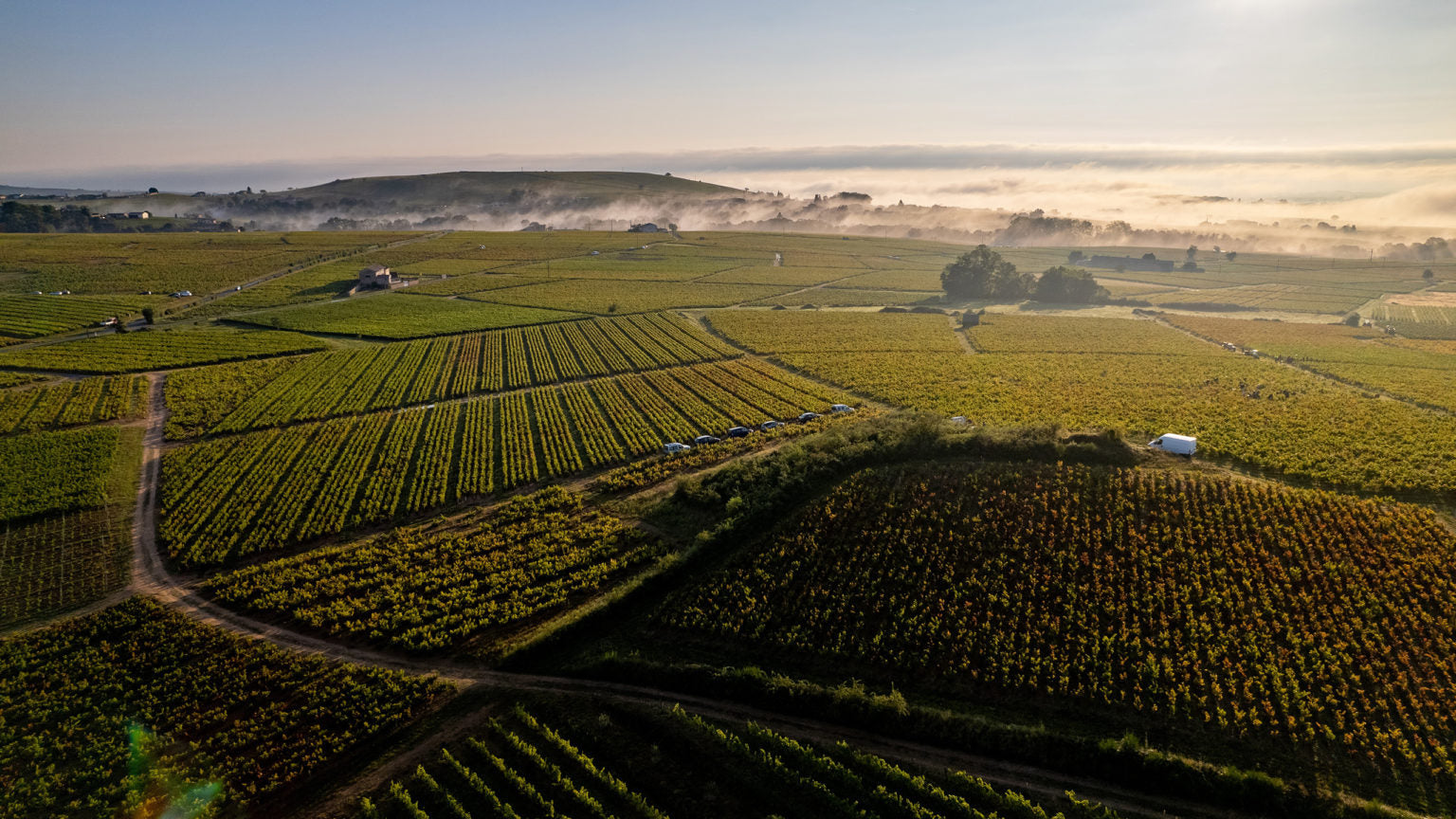 Beaujolais Nouveau 2024