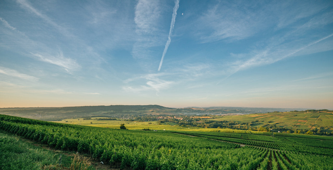 Domaine Saint-Antoine des Echards