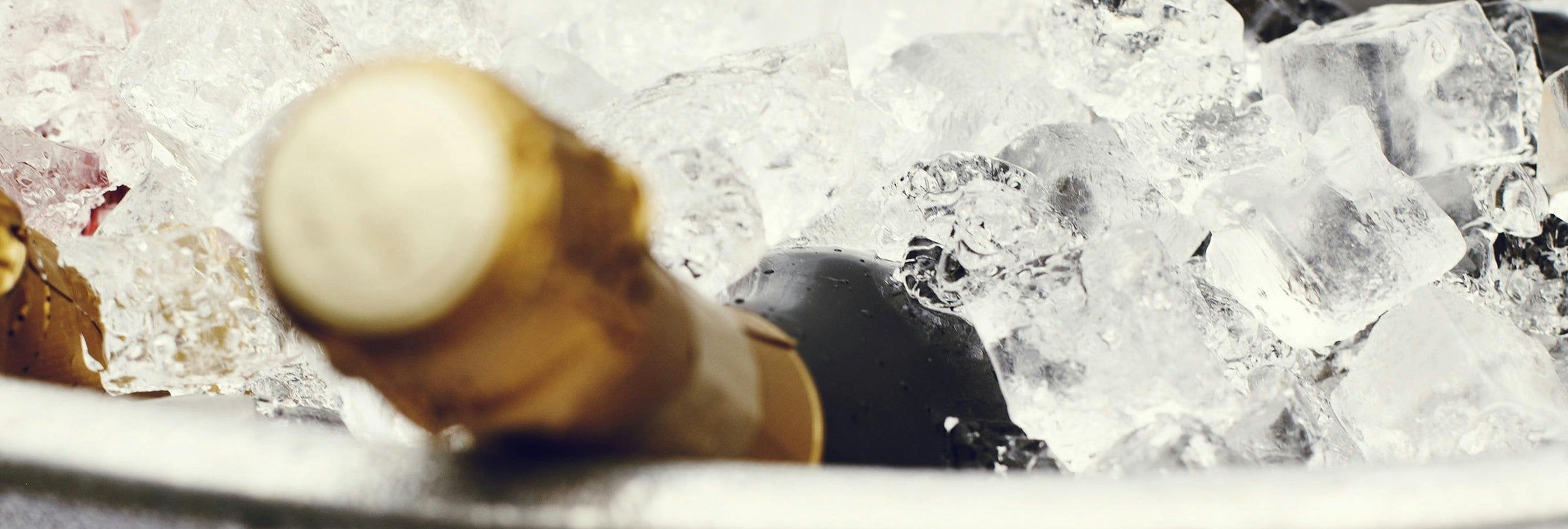 Champagne bottle in a bucket of ice