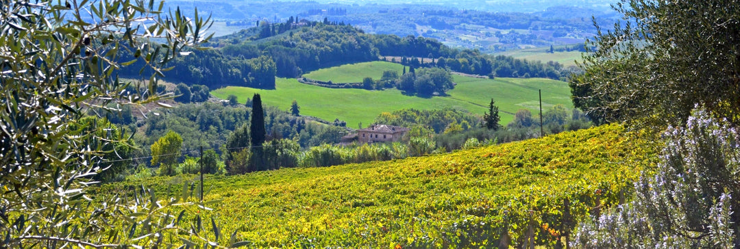 Ormanni