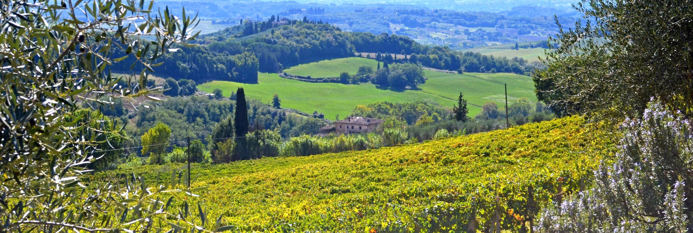 Ormanni