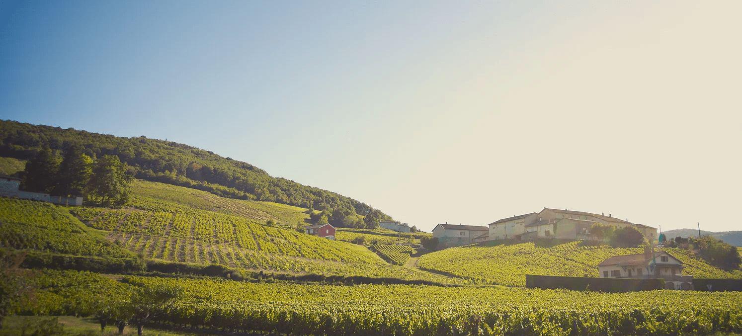 Domaine du Père Jean