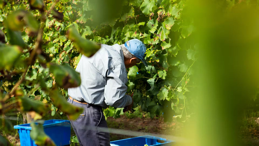Quinta de Gomariz