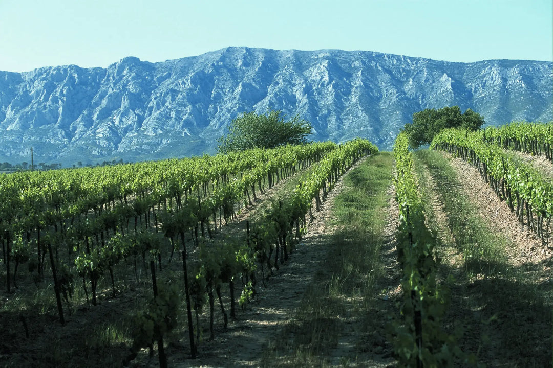 Domaine Houchart