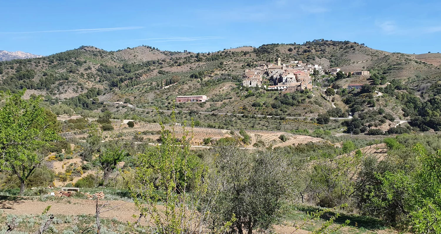 Ritme Celler