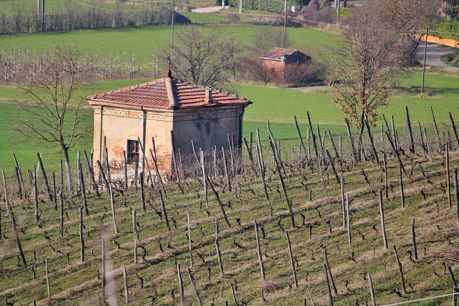 Cantine Volpi