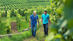 Father and son walking through vineyards towards the camera 