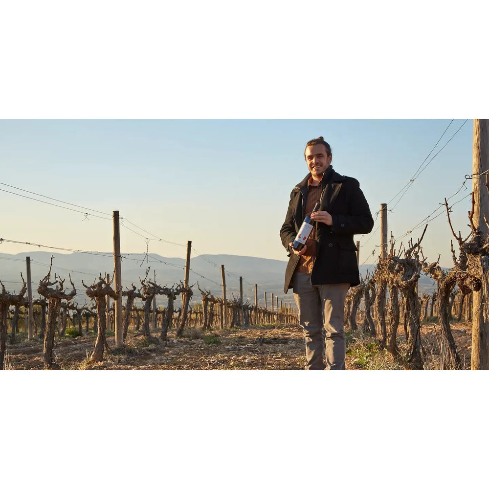 Albet i Noya, Reserva Martí 2017