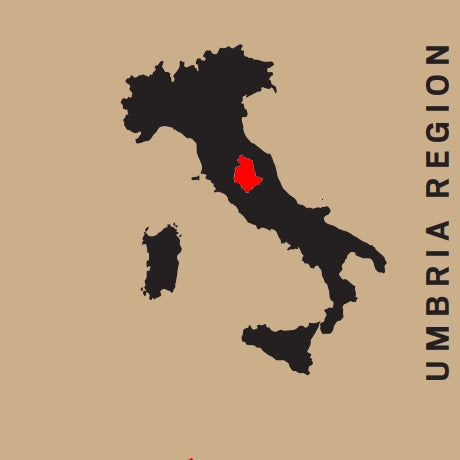 Cantina Tudernum, Umbria Grechetto 2025