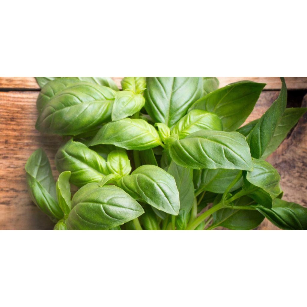 Del Grillo, Sicilian organic tomato and basil sauce 410 ml