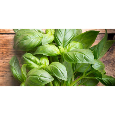 Del Grillo, Sicilian organic tomato and basil sauce 410 ml