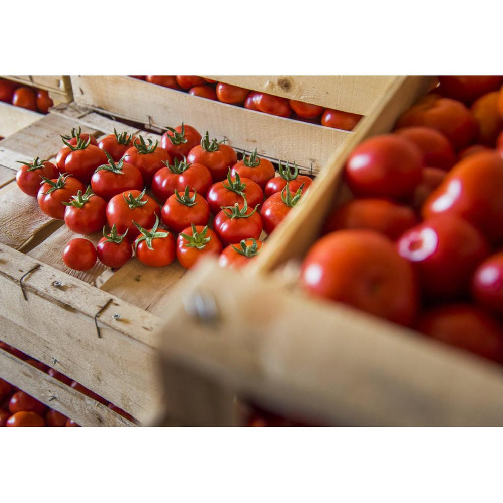 Del Grillo, Sicilian organic tomato passata 680 ml