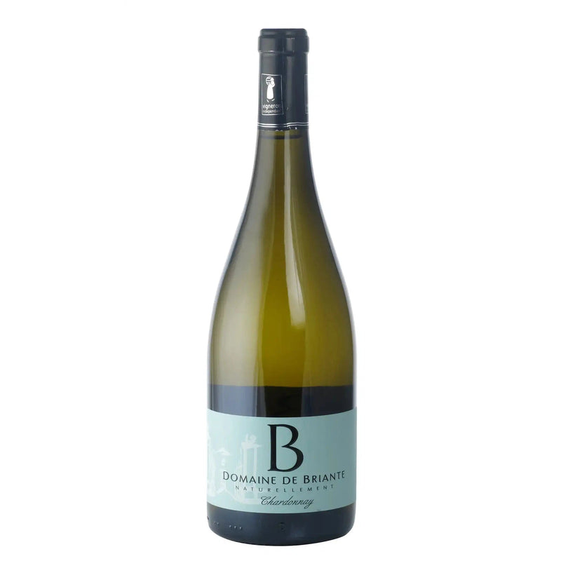 Domaine de Briante, Beaujolais Blanc Chardonnay 2021