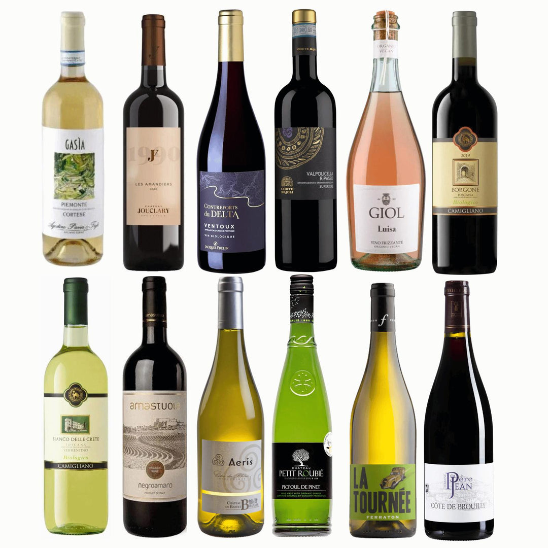 French and Italian choice mixed case
