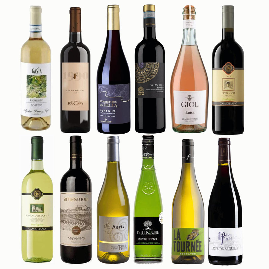 French and Italian choice mixed case