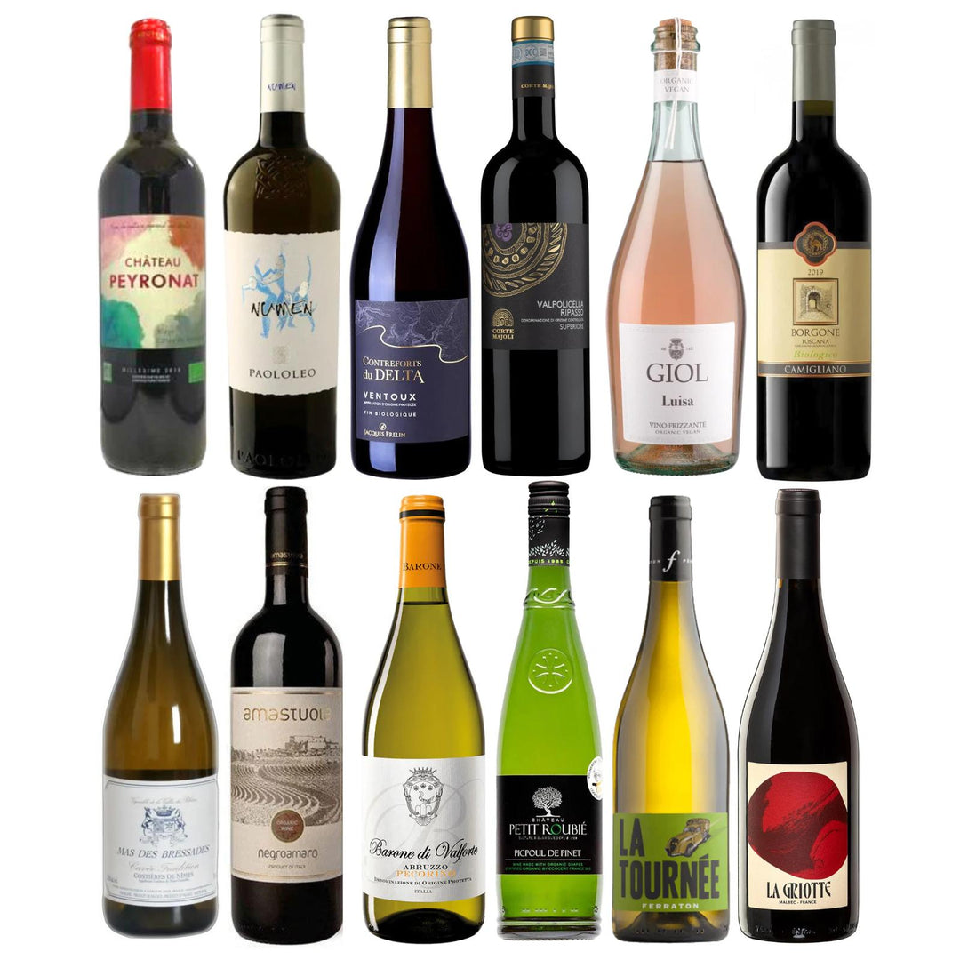 French and Italian choice mixed case