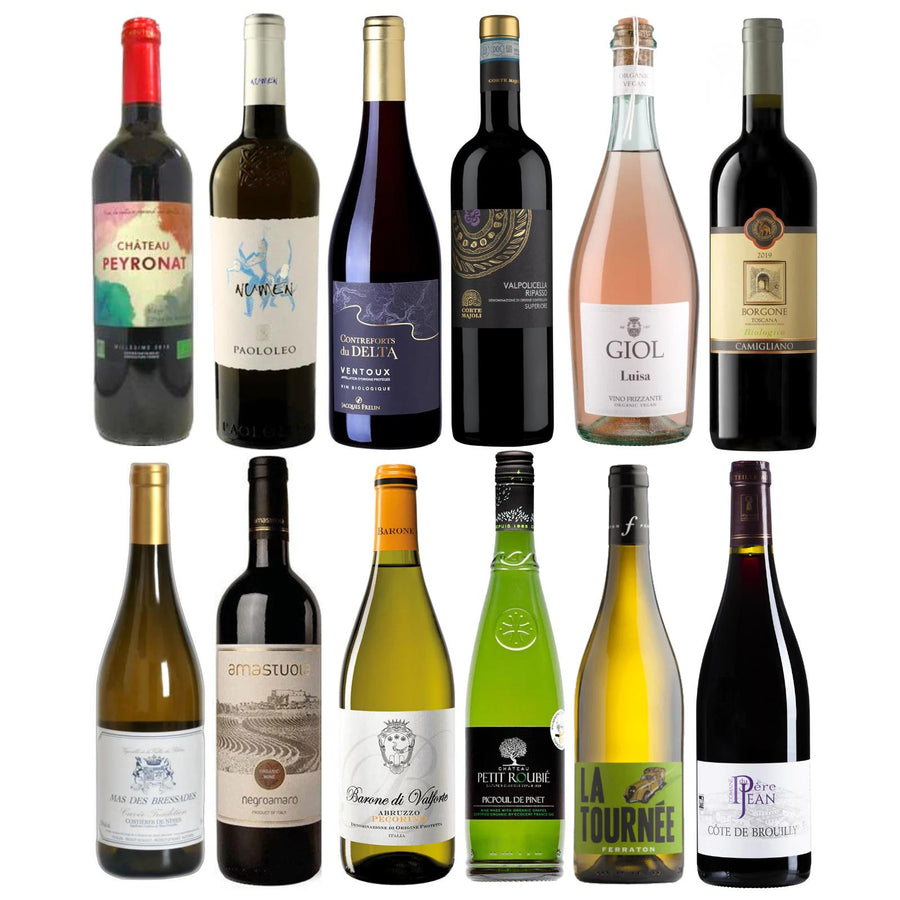 French and Italian choice mixed case