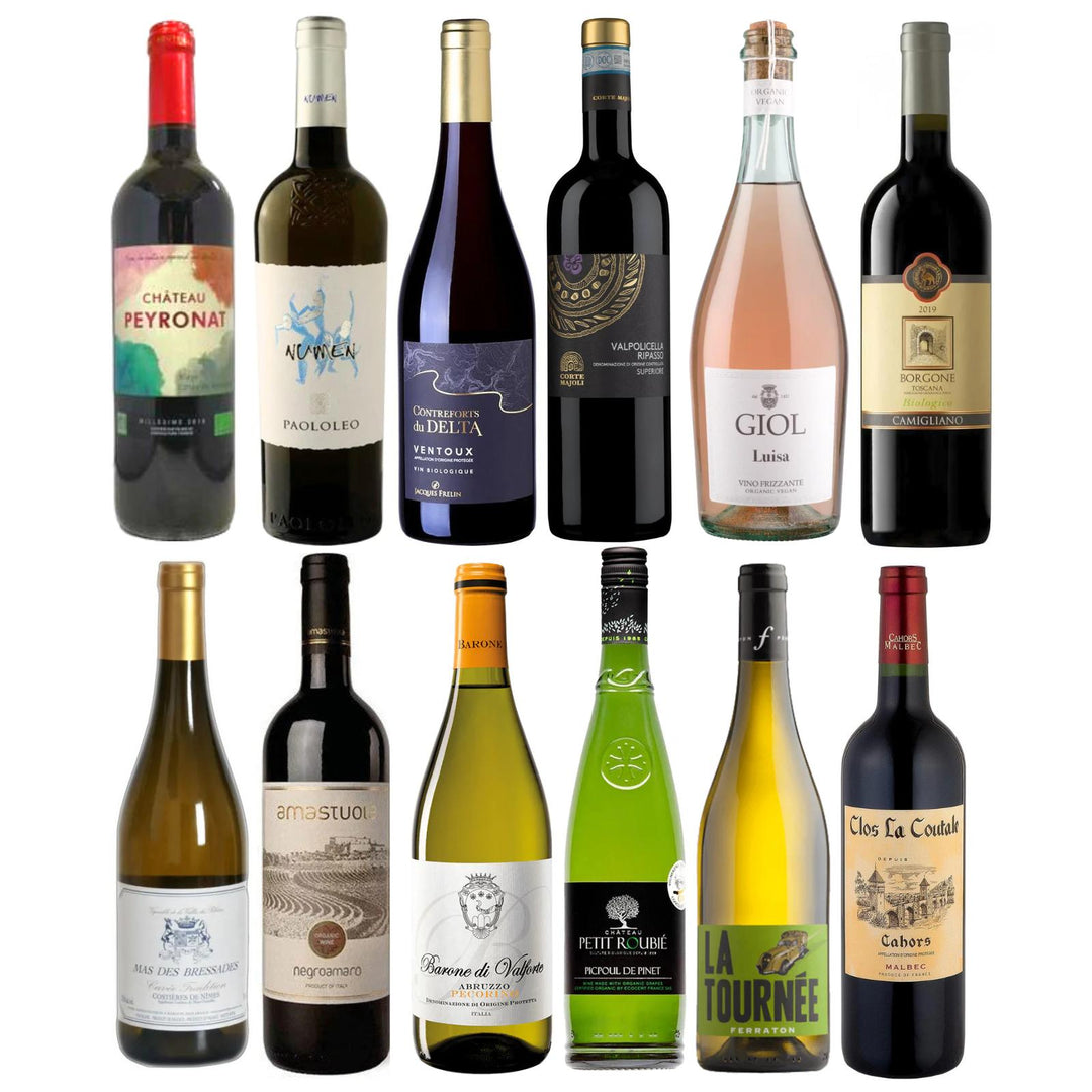 French and Italian choice mixed case