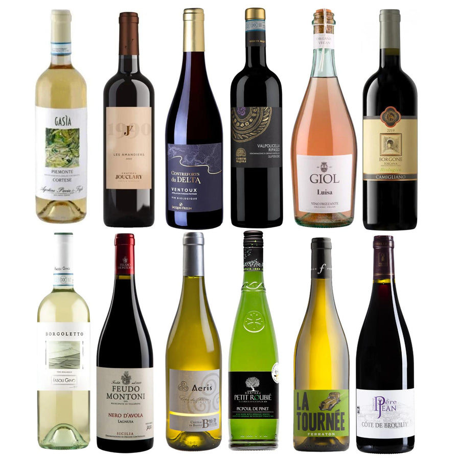 French and Italian choice mixed case