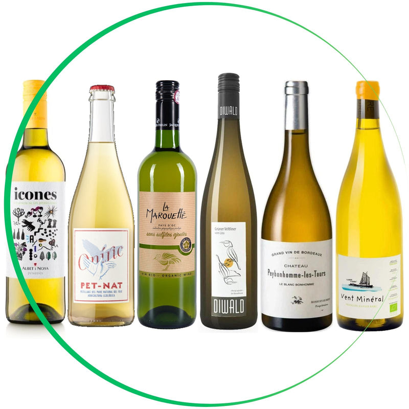 Mary Pawle Wines white wines taster case-chosen by Bubble Brothers-Bubble Brothers