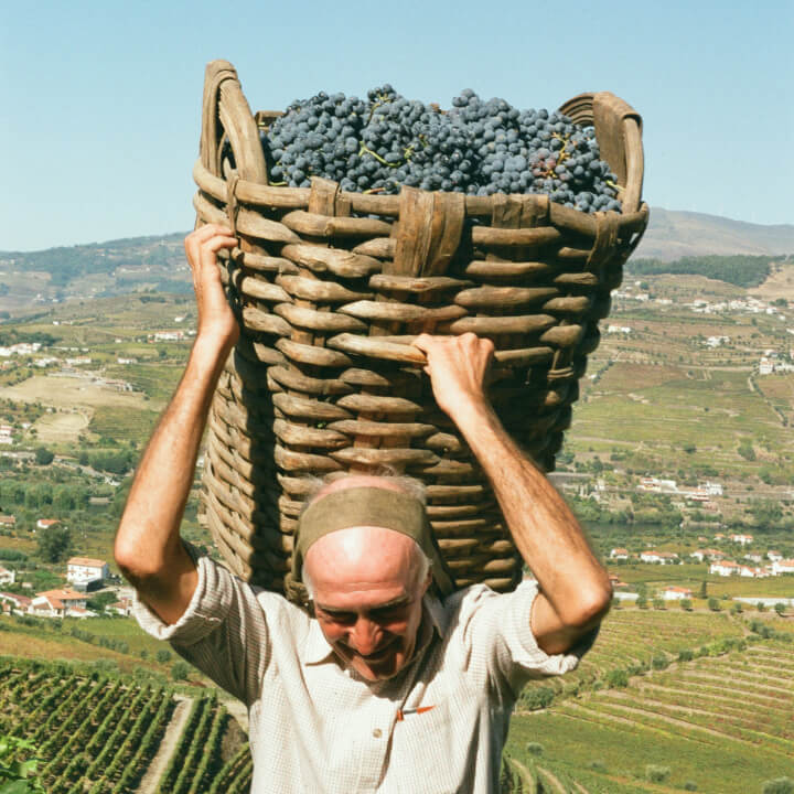 Quinta Dona Mafalda, Douro Touriga Nacional 2020