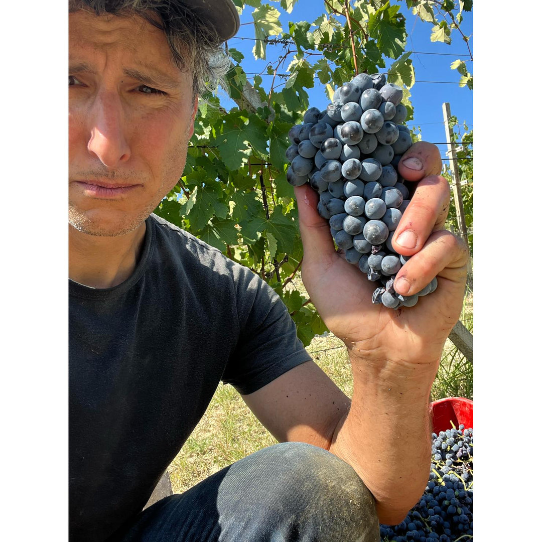 Vini Ragerra, Vino Rosso 2023-Vini Ragerra-Bubble Brothers